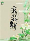 宠妃娇养日常 梨酒儿百度